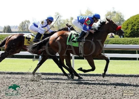 Getaway Guy -The Tower Hill Keeneland