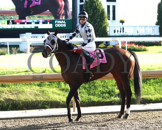 Ghostly Gal - The Tiara Claiming Crown #5 11-16-24 R05 Cd Come Back 01 Churchill Downs