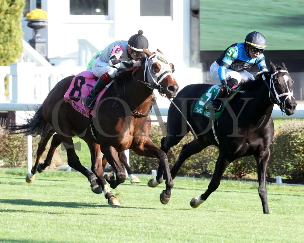 Ghostly Gal - The Tiara Claiming Crown #5 11-16-24 R05 Cd Finish 02 Churchill Downs
