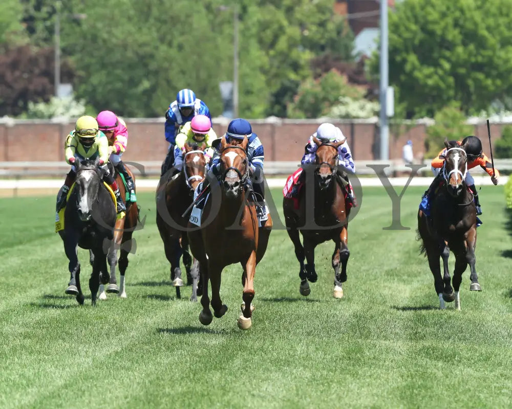 Gift List - The Edgewood G2 37Th Running 04-30-21 R07 Cd Head On 001 Churchill Downs