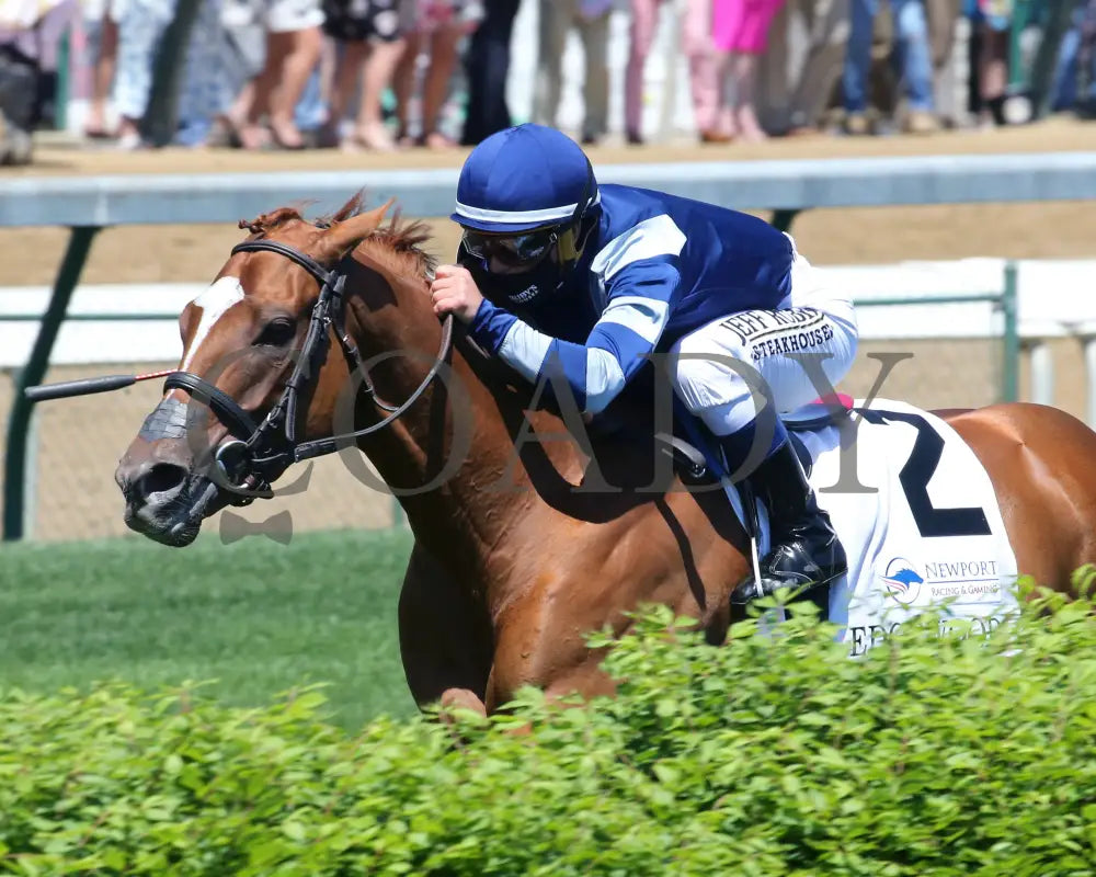 Gift List - The Edgewood G2 37Th Running 04-30-21 R07 Cd Inside Finish 001 Churchill Downs