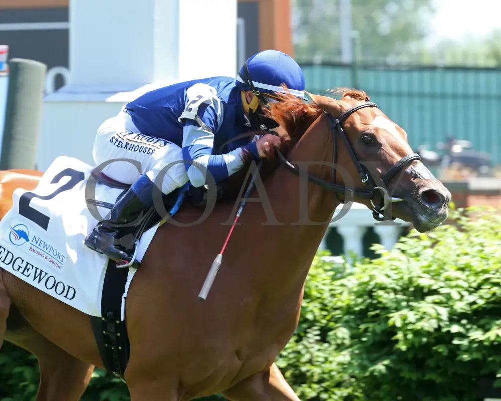 Gift List - The Edgewood G2 37Th Running 04-30-21 R07 Cd Tight Finish 001 Churchill Downs