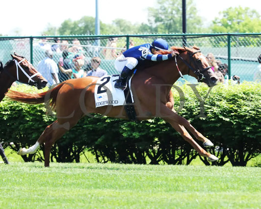 Gift List - The Edgewood G2 37Th Running 04-30-21 R07 Cd Turn 001 Churchill Downs