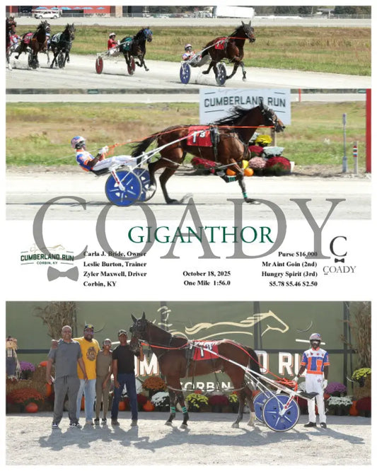 GIGANTHOR - 101825 - Race 03 - CMR Presque Isle Downs