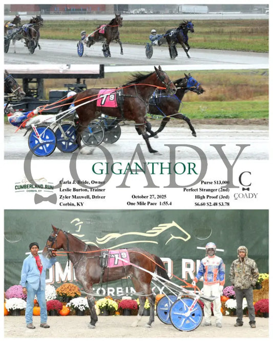 GIGANTHOR - 102725 - Race 09 - CMR Presque Isle Downs