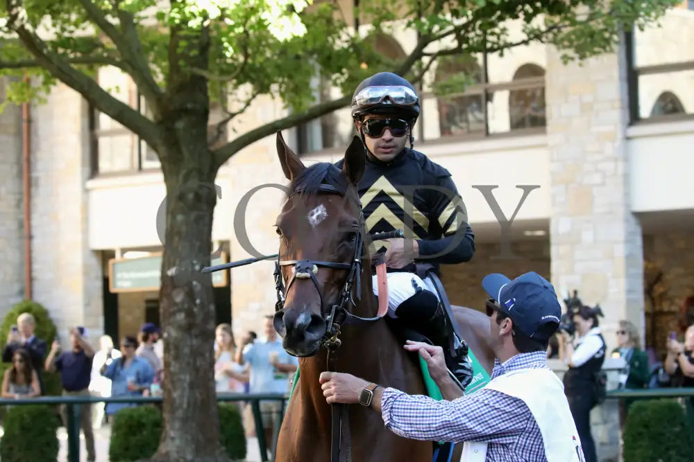 GIN GIN - 100525 - Race 09 - KEE - Paddock 02 Keeneland