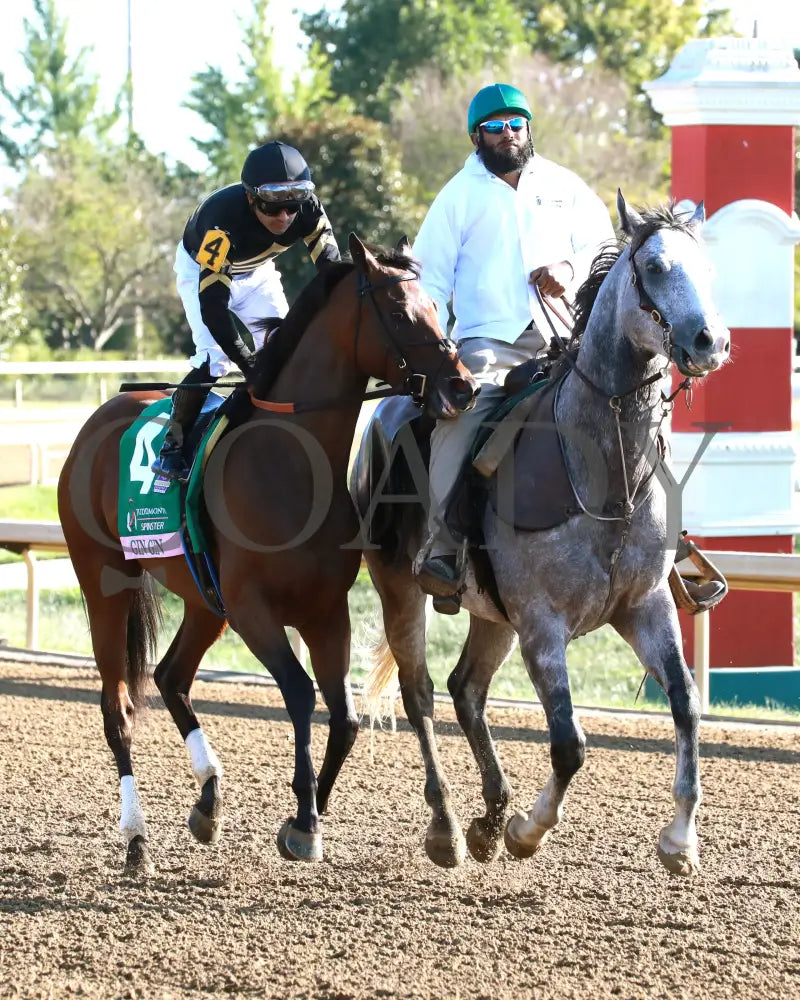GIN GIN - 100525 - Race 09 - KEE - Post Parade 01 - Coady Media - Kurtis Coady Photography