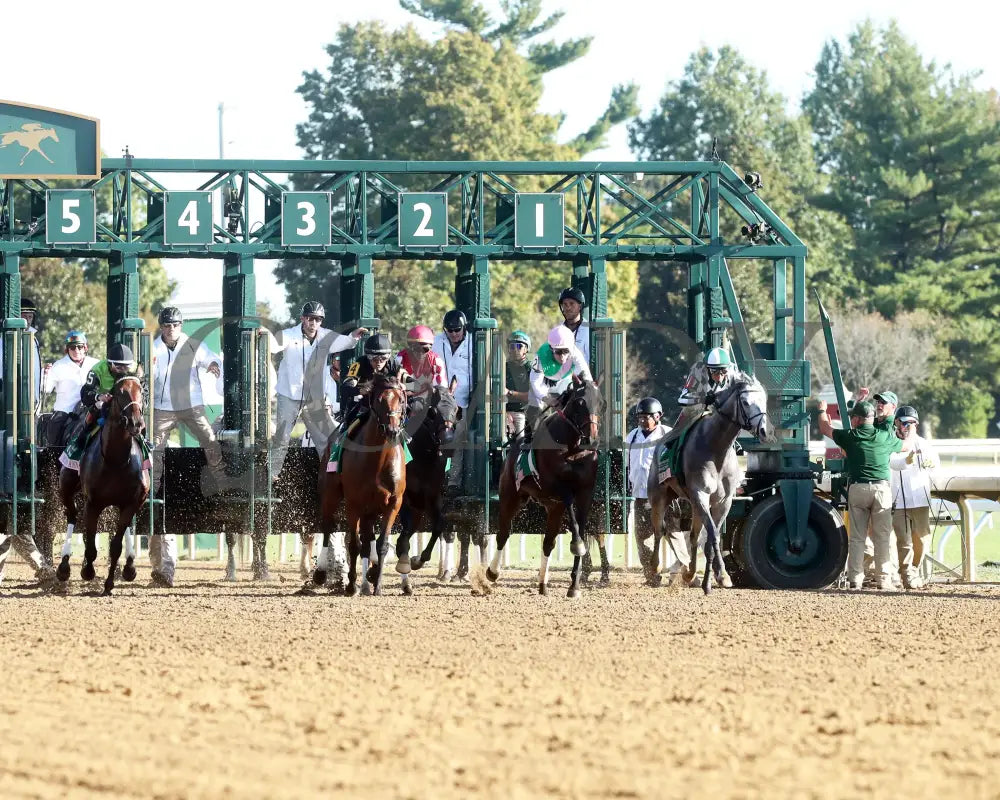 GIN GIN - 100525 - Race 09 - KEE - Start 02 Keeneland
