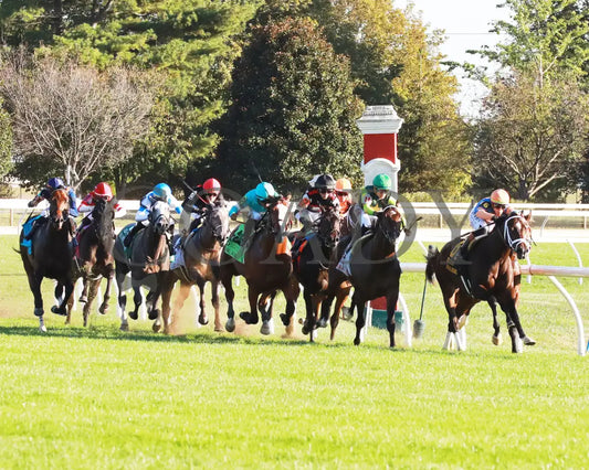 GIN GIN - 100525 - Race 09 - KEE - Turn 01 - Coady Media - Kurtis Coady Photography