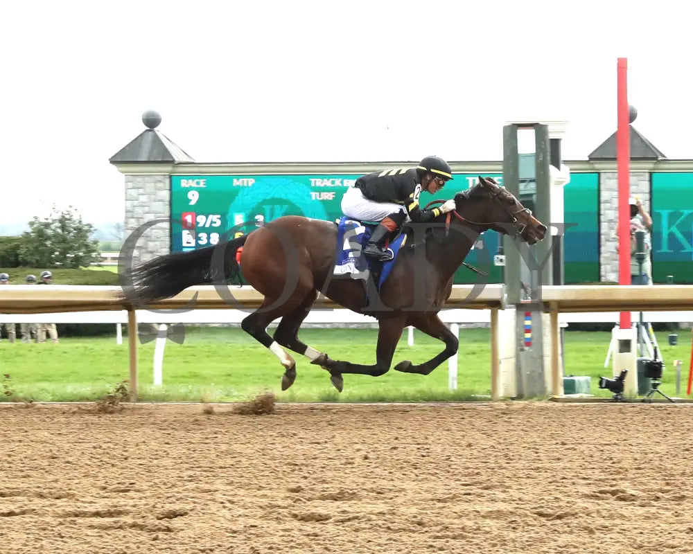 GIN GIN - The Baird Doubledogdare G3 - 04-18-25 - R09 - KEE - Finish 01 Keeneland