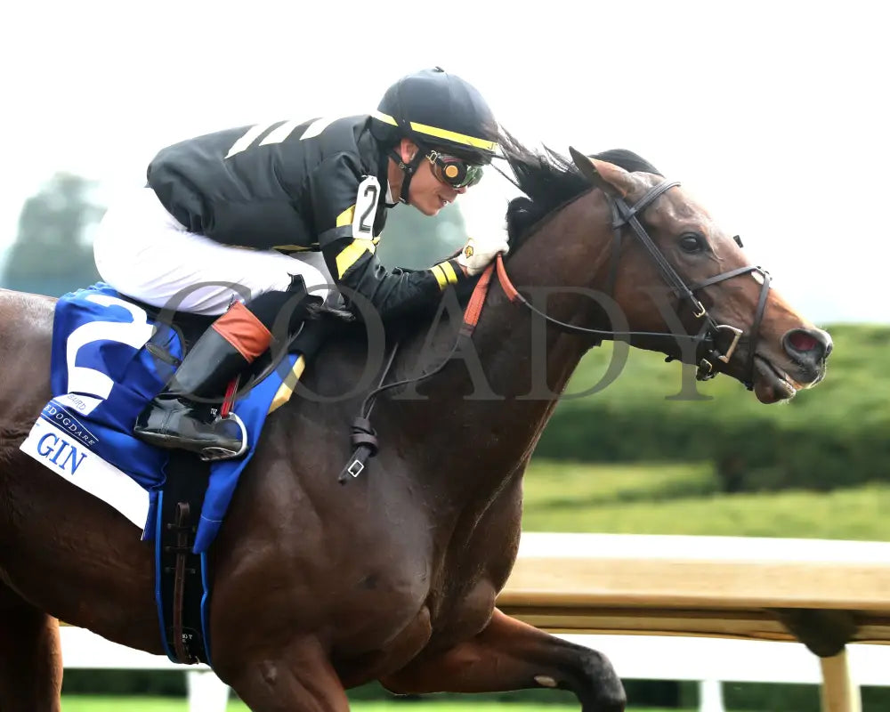 GIN GIN - The Baird Doubledogdare G3 - 04-18-25 - R09 - KEE - Finish 02 Keeneland