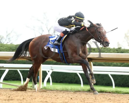 GIN GIN - The Baird Doubledogdare G3 - 04-18-25 - R09 - KEE - Finish 03 Keeneland