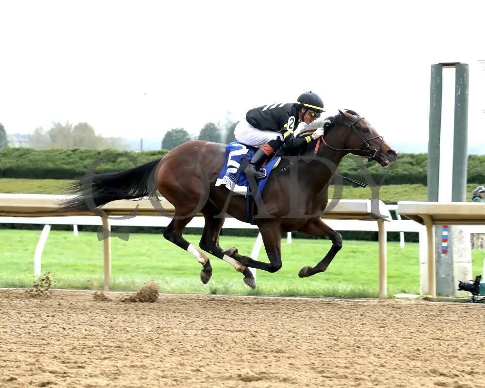 GIN GIN - The Baird Doubledogdare G3 - 04-18-25 - R09 - KEE - Finish 04 Keeneland