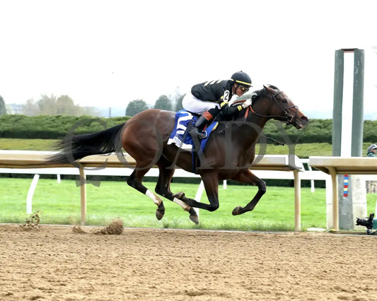 GIN GIN - The Baird Doubledogdare G3 - 04-18-25 - R09 - KEE - Finish 04 Keeneland