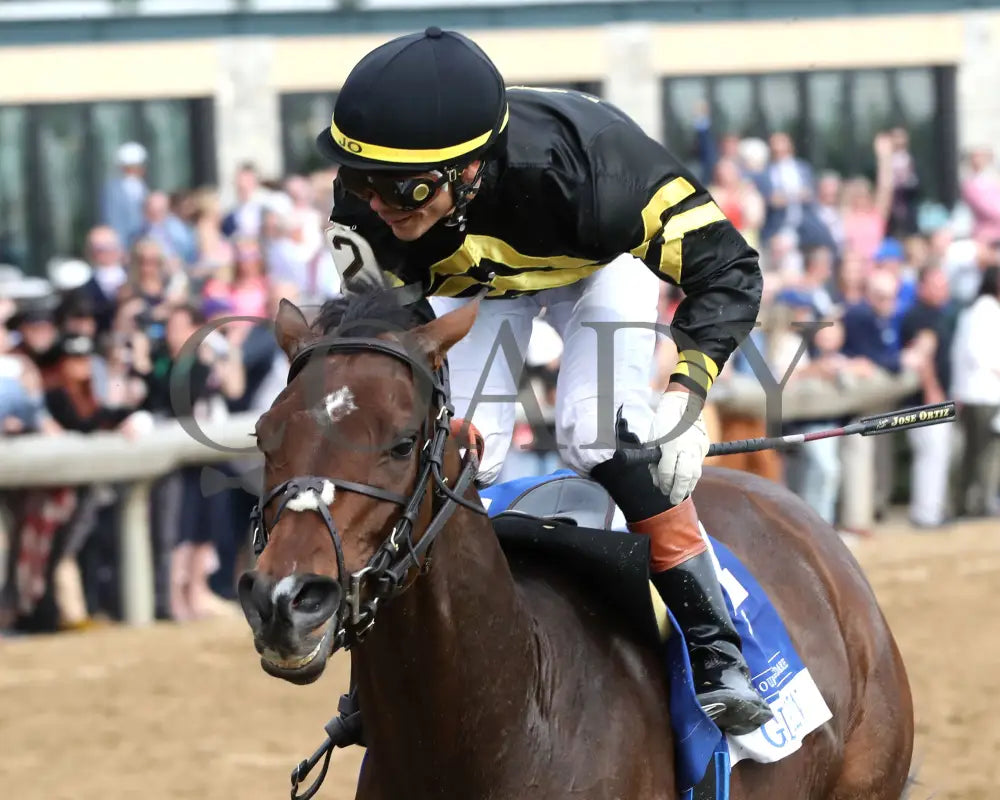 GIN GIN - The Baird Doubledogdare G3 - 04-18-25 - R09 - KEE - Inside Finish 02 Keeneland