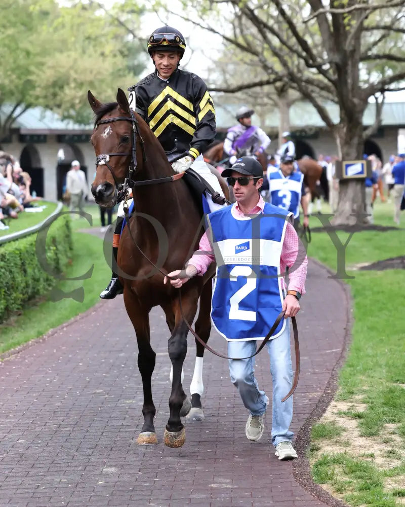 GIN GIN - The Baird Doubledogdare G3 - 04-18-25 - R09 - KEE - Paddock 02 Keeneland
