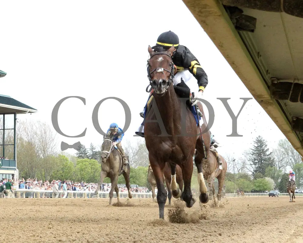 GIN GIN - The Baird Doubledogdare G3 - 04-18-25 - R09 - KEE - Under Rail 01 Keeneland