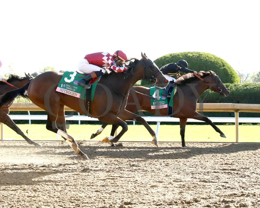 GIN GIN - The Juddmonte Spinster G1 - 70th Running - 10-05-25 - R09 - KEE - Finish 01 Keeneland