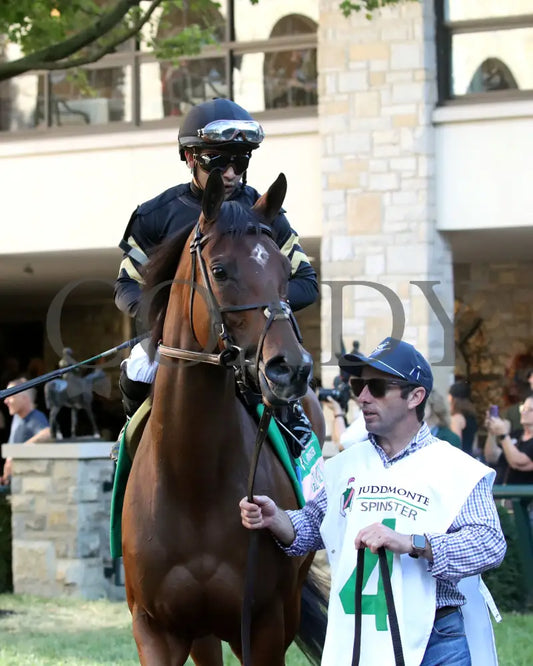 GIN GIN - The Juddmonte Spinster G1 - 70th Running - 10-05-25 - R09 - KEE -Paddock 01 Keeneland