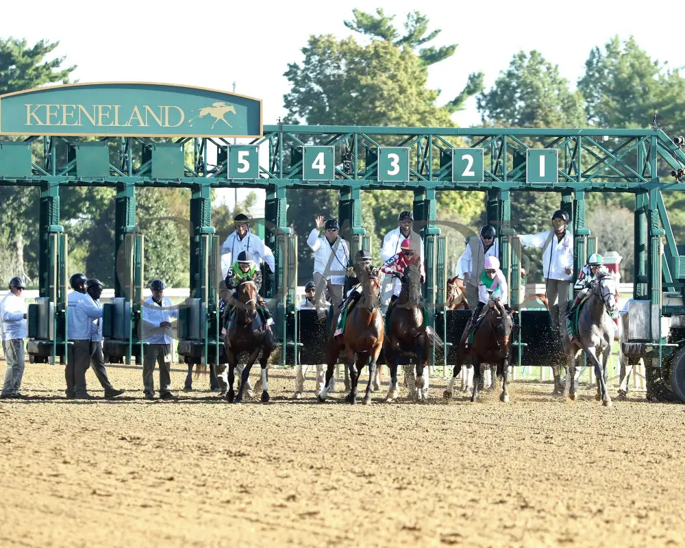 GIN GIN - The Juddmonte Spinster G1 - 70th Running - 10-05-25 - R09 - KEE - Start 01 Keeneland