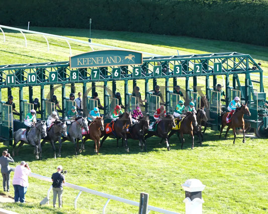 Gina Romantica - 100524 Race 08 Kee The First Lady G1 Aerial Start 01 Keeneland