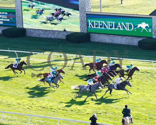 Gina Romantica - 100524 Race 08 Kee The First Lady G1 Aerial Start 02 Keeneland