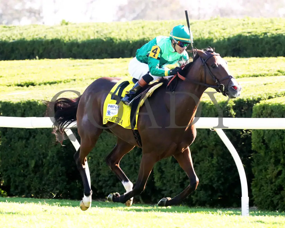 Gina Romantica - 100524 Race 08 Kee The First Lady G1 Finish 02 Keeneland