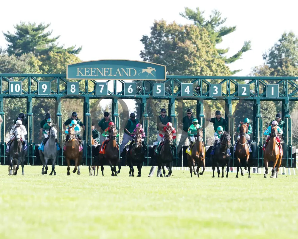 Gina Romantica - 100524 Race 08 Kee The First Lady G1 Start 01 Keeneland