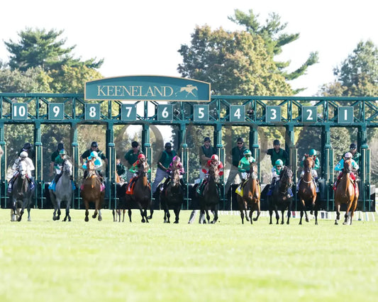 Gina Romantica - 100524 Race 08 Kee The First Lady G1 Start 01 Keeneland