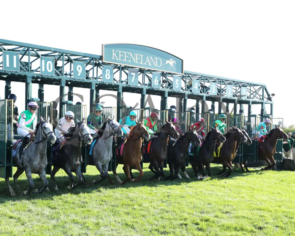 Gina Romantica - 100524 Race 08 Kee The First Lady G1 Start 02 Keeneland