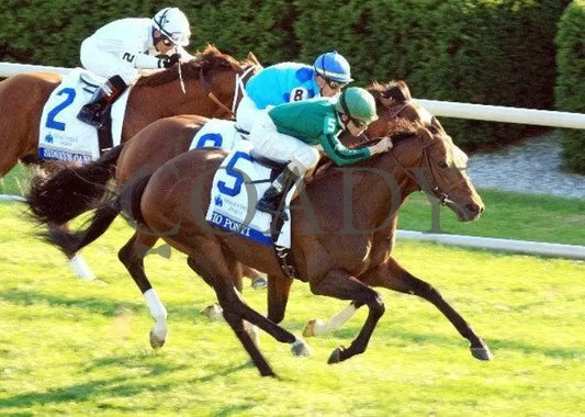 Gio Ponti - Aerial 100811 Race 09 Keeneland