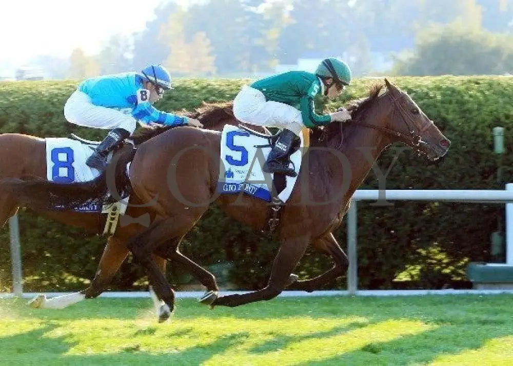 Gio Ponti - Finish 100811 Race 09 Keeneland