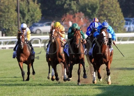 Gio Ponti - Head On 1 100811 Race 09 Keeneland