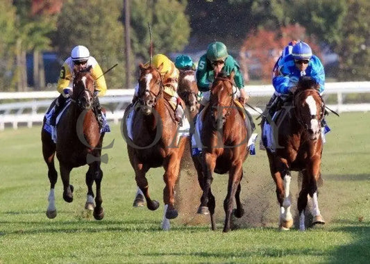 Gio Ponti - Head On 2 100811 Race 09 Keeneland