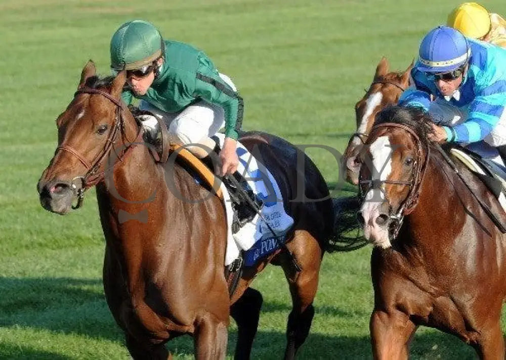 Gio Ponti - Inside Finish 100811 Race 09 Keeneland