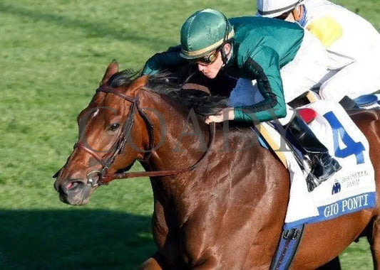 Gio Ponti - Shadwell Turf Mile Keeneland