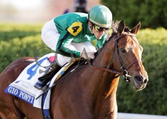 Gio Ponti - The Shadwell Turf Mile Keeneland