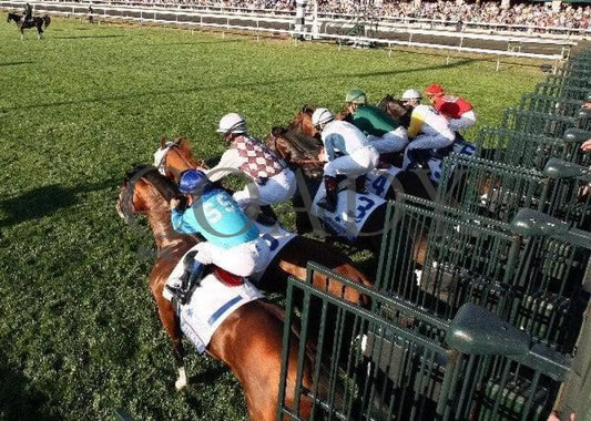 Gio Ponti - The Shadwell Turf Mile Keeneland