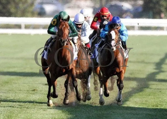 Gio Ponti - The Shadwell Turf Mile Keeneland