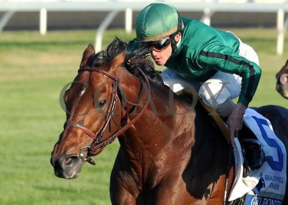 Gio Ponti - Tight Inside Finish 100811 Race 09 Keeneland