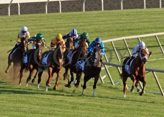 Gio Ponti - Turf 100811 Race 09 Keeneland