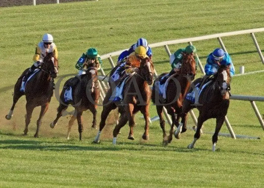Gio Ponti - Turn 2 100811 Race 09 Keeneland