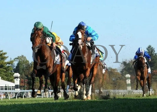 Gio Ponti - Under Rail 100811 Race 09 Keeneland