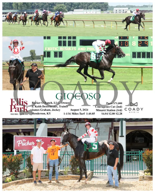 Giocoso - 08-05-24 R06 Elp Ellis Park