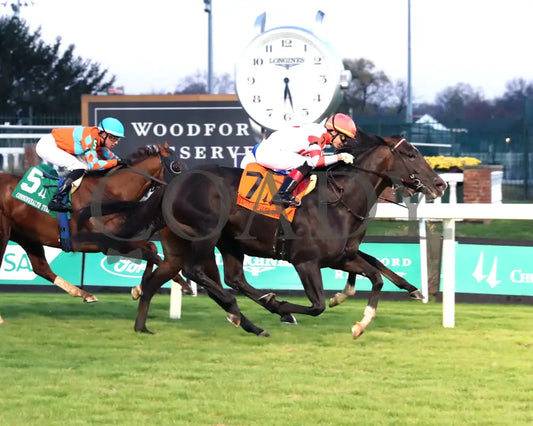 GIOCOSO - 112225 - Race 10 - CD - Finish 01 - Coady Media - Kurtis Coady Photography