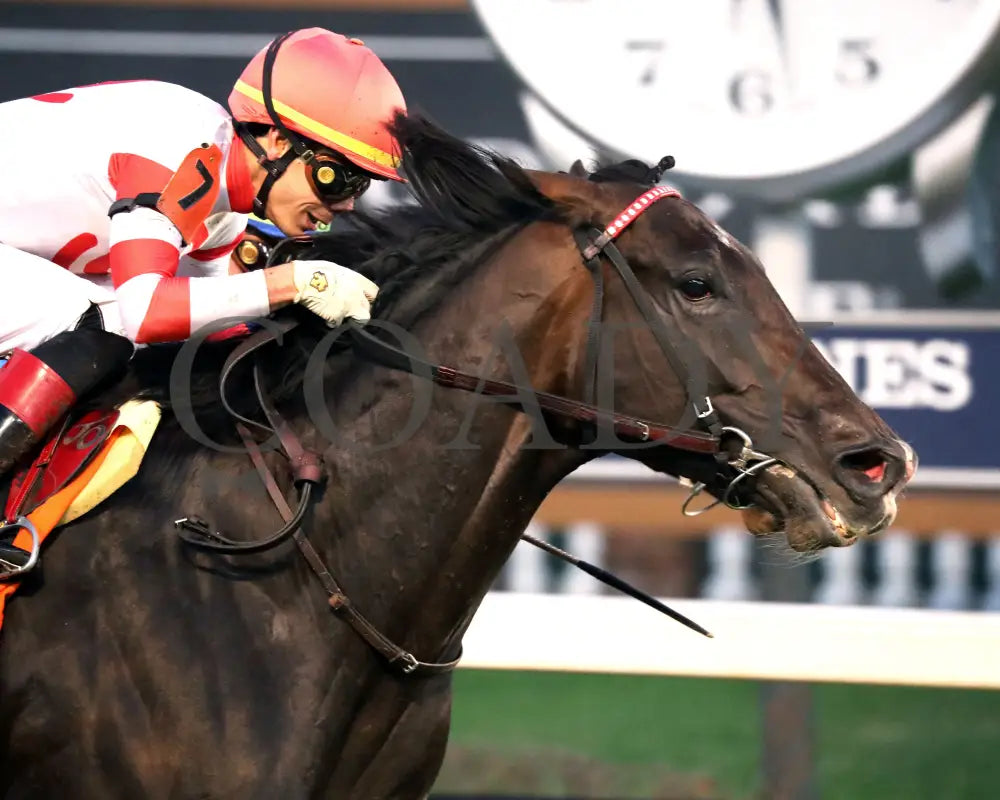 GIOCOSO - 112225 - Race 10 - CD - Finish 02 - Coady Media - Kurtis Coady Photography