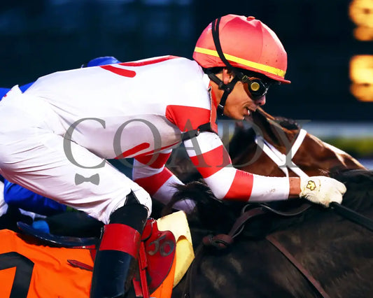GIOCOSO - 112225 - Race 10 - CD - Finish 03 - Coady Media - Kurtis Coady Photography
