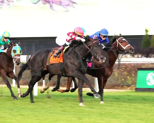 GIOCOSO - 112225 - Race 10 - CD - Finish 04 - Coady Media - Kurtis Coady Photography