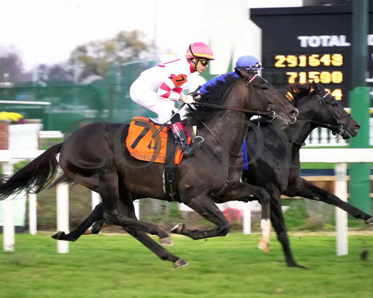 GIOCOSO - 112225 - Race 10 - CD - First Pass 01 - Coady Media - Kurtis Coady Photography
