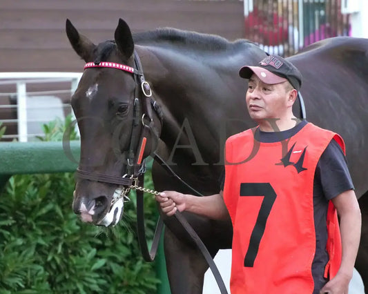 GIOCOSO - 112225 - Race 10 - CD - Paddock 02 - Coady Media - Kurtis Coady Photography